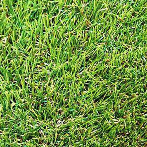 Ковровое покрытие Трава искусственная GRASS MIX 18 3,0 м (18мм)